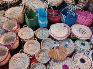 IMG_20230826_114815_668