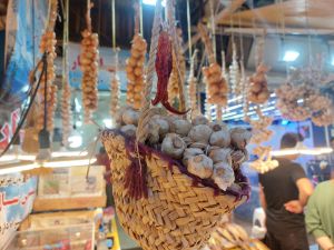 IMG_20230826_114816_281