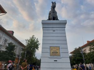 IMG_20230826_114905_349