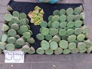 IMG_20230826_114934_247