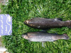 IMG_20230826_114934_979